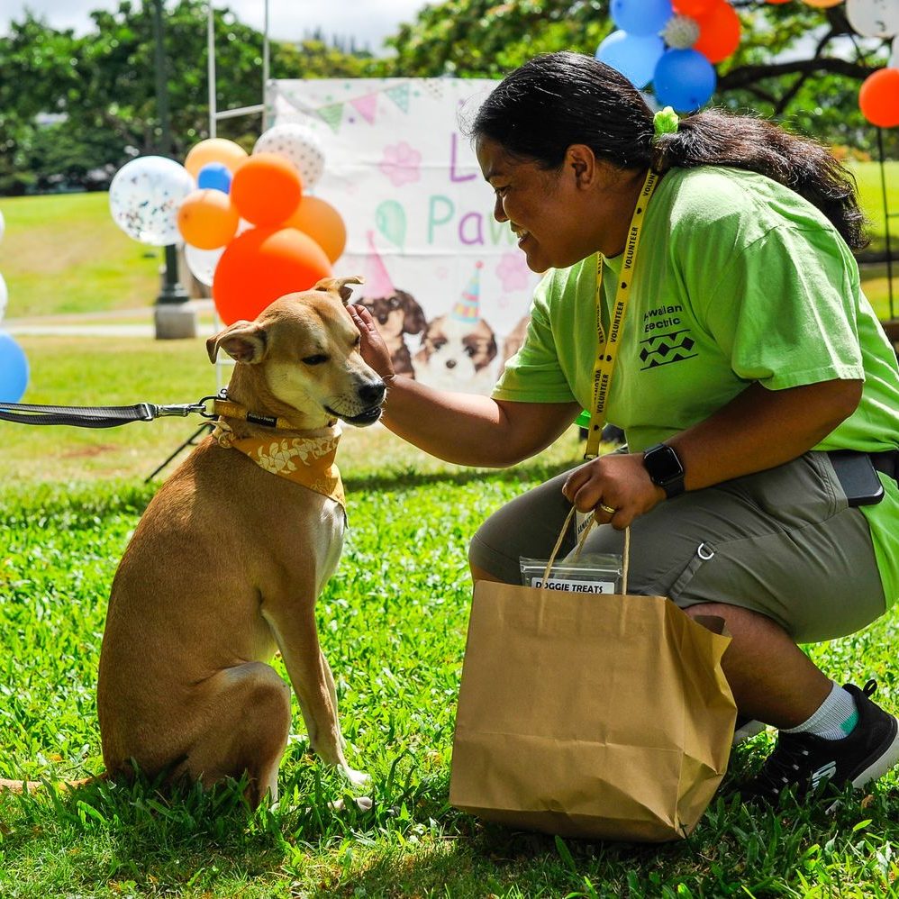 A volunteer kneels to the ground and pets a dog.